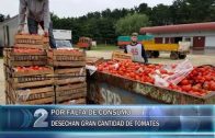 09 05 2018 TIRAN TOMATES