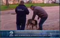 30 -05 -2018 COMPACTO DE NOTICIAS  MAR DEL PLATA