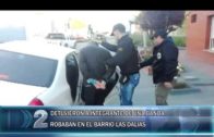 5 10 ROBOS EN LAS DALIAS
