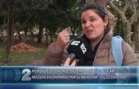 09 05 PERDIO EL IMPLANTE