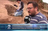 10 05 ENCUENTRAN FOSIL