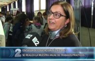 03 10 2019 MUESTRA TECNICA 3