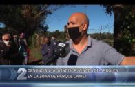27 -10 -2020 DENUNCIAN TALA DE ARBOLES INDISCRIMINADA EN LA ZONA DE PARQUE CAMET