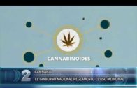 13 11 CANNABIS MEDICINAL