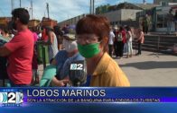 18 -02 -2021 LOBOS MARINOS LA ATRACCIÓN PARA  LOS TURISTAS EN LA BANQUINA.