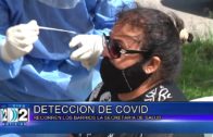 11 03 DETECCION COVID