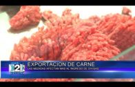 20 -05-2021 EXPORTACIÓN DE CARNES .LAS MEDIDAS AFECTAN MAS A LOS INGRESOS DE DIVISAS.