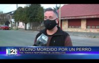 1 09 21 MORDIDO POR UN PERRO