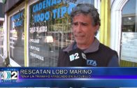 18 03 LOBO RESCATADO
