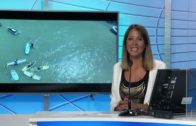 8 03 22 CANAL 2 NOTICIAS 2a EDICION COMPACTO