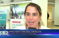 DENGUE 21-04