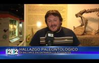 16 05 22 HALLAN GLIPTODONTE