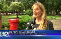 2 12 22 BUZON Y ARBOLITO