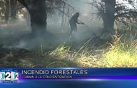 2 01 INCENDIOS FORESTALES