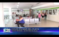 5-01-2023 COVID EN MAR DEL PLATA – VIVIANA BERNABEI-SECRETARIA DE SALUD.