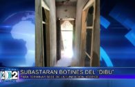 31 03 SUBASTARAN BOTINES DEL¨DIBU¨