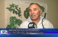 PRONOSTICO EXTENDIDO