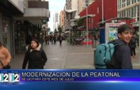 12 07 MODERNIZACION DE LA PEATONAL