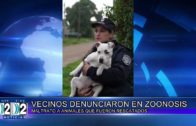 12 09 MALTRATO DE ANIMALES