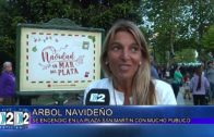 11 12 2023 ARBOL NAVIDAD