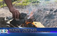 30-01-2024 INCENDIO FORESTALES