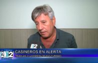 CASINEROS EN ALERTA