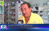 20 03 ALERTA POR EL DENGUE