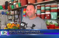 8 04 2024 REPELENTES NATURALES