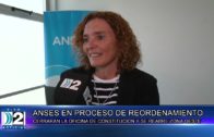 18 07 ANSES EN PROCESO DE REORDENAMIENTO