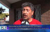 1 11 DESVINCULACIONES EN EL ESTADO