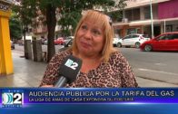 28 01 AUDIENCIA PUBLICA POR LA TARIFA DEL GAS