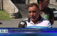 29 01 LEO NECESITA UN TRASPLANTE