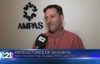 25 02 PRODUCTORES DE SEGUROS