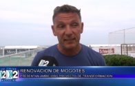 7 03 2025 MOGOTES