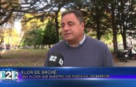 14-05-2025 FLOR DE BACHE