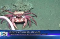 15 08 CIENTIFICOS MARPLATENSES
