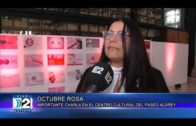 OCTUBRE ROSA