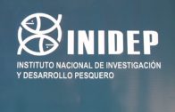 05 11 JORNADAS EN EL INIDEP